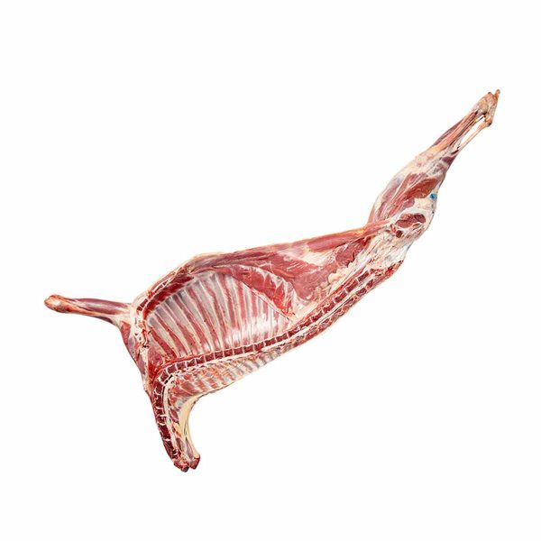 گوشت گوسفندی با دنبه کیلویی 595،000