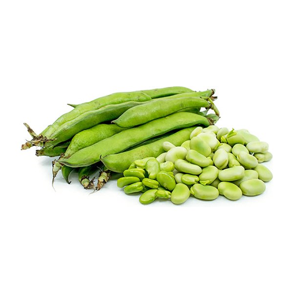 باقالا کاشان - 1 کیلو