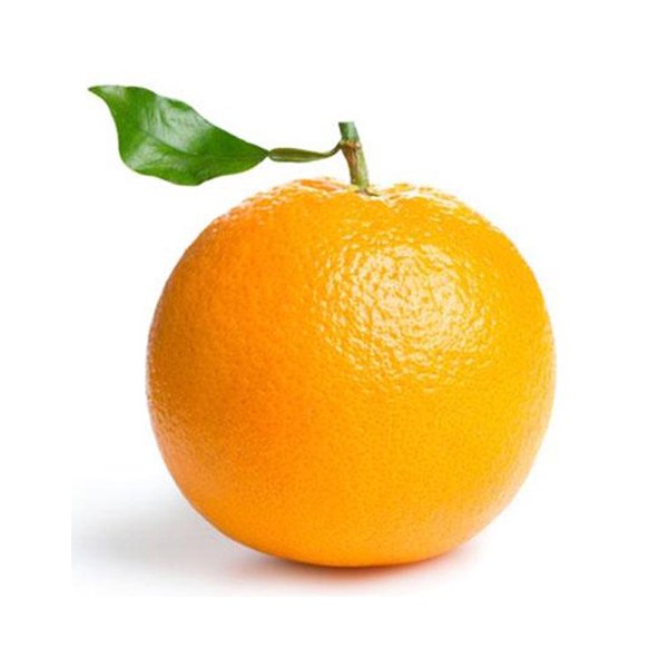 پرتقال جنوب - 1 کیلو