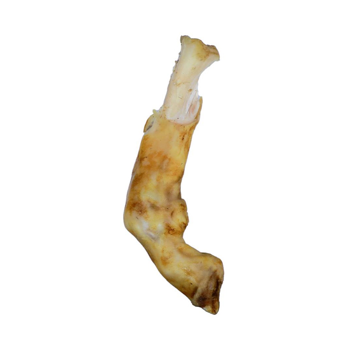 پاچه بره - 1 عدد