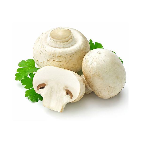 قارچ فله - 1 کیلو