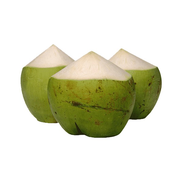 شیر نارگیل - 1 عدد