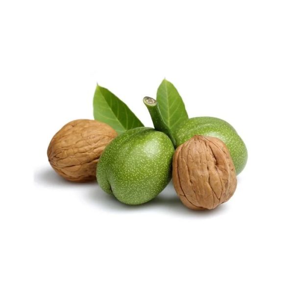 گردو تازه - 1 کیلو
