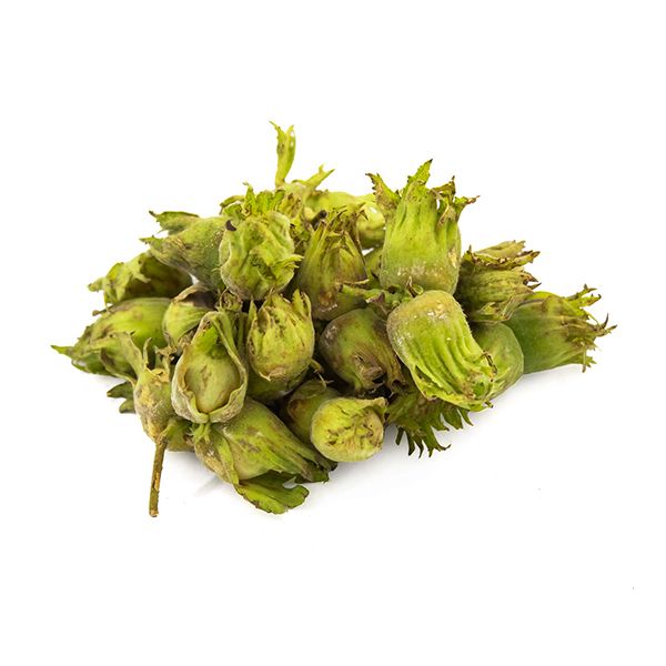 فندق تازه - 1 کیلو