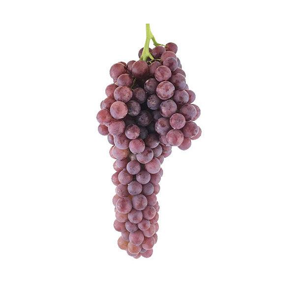 انگور بی دانه قرمز تاکستان - 1 کیلو