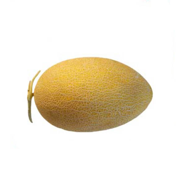 خربزه گرگاب کیلویی 38000 تومان