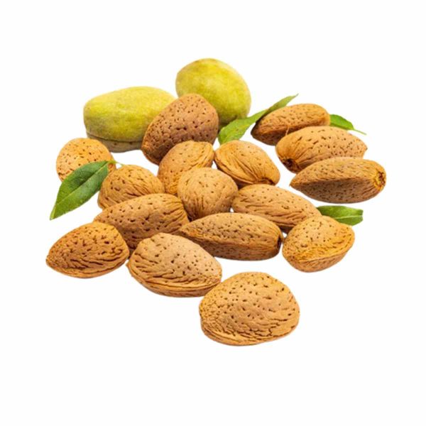بادام تازه با پوست - 1 کیلو