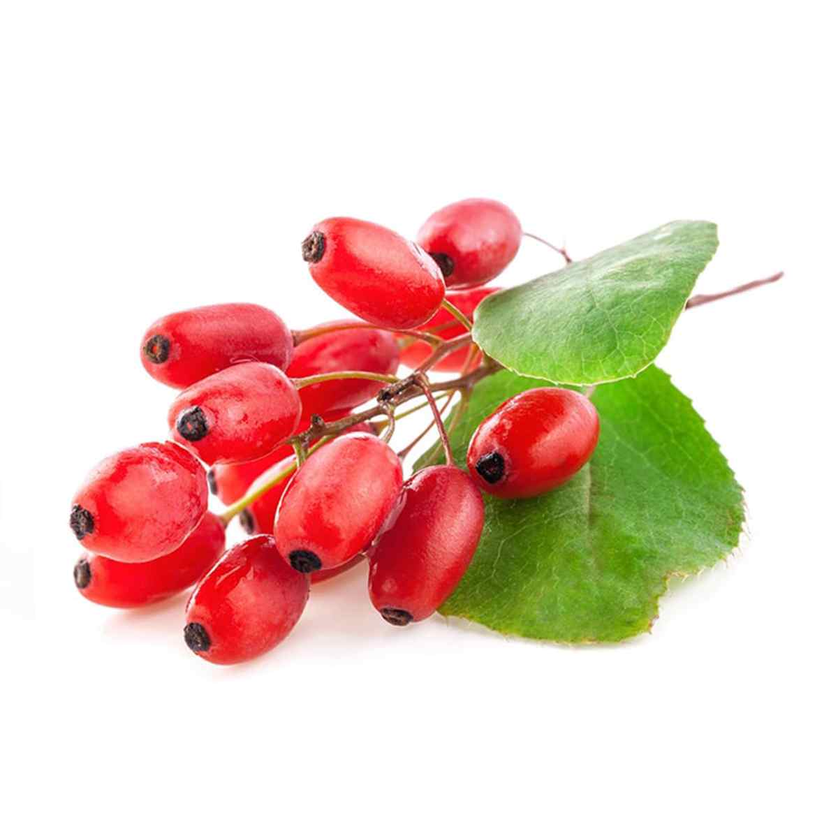 زرشک تازه - 1 کیلو