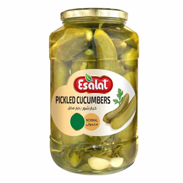 خیارشور معمولی خانواده اصالت - 1300 گرم