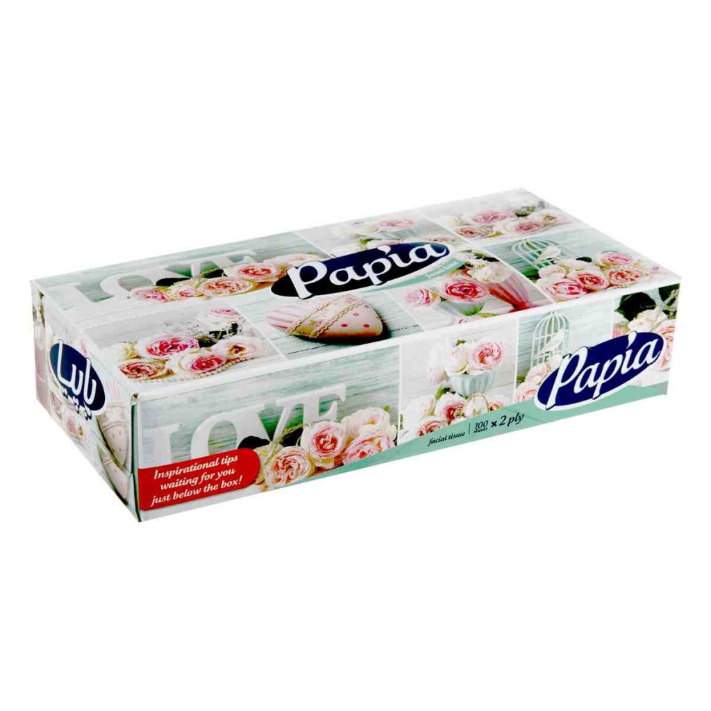 دستمال کاغذی پاپیا - 100 برگ دو لایه