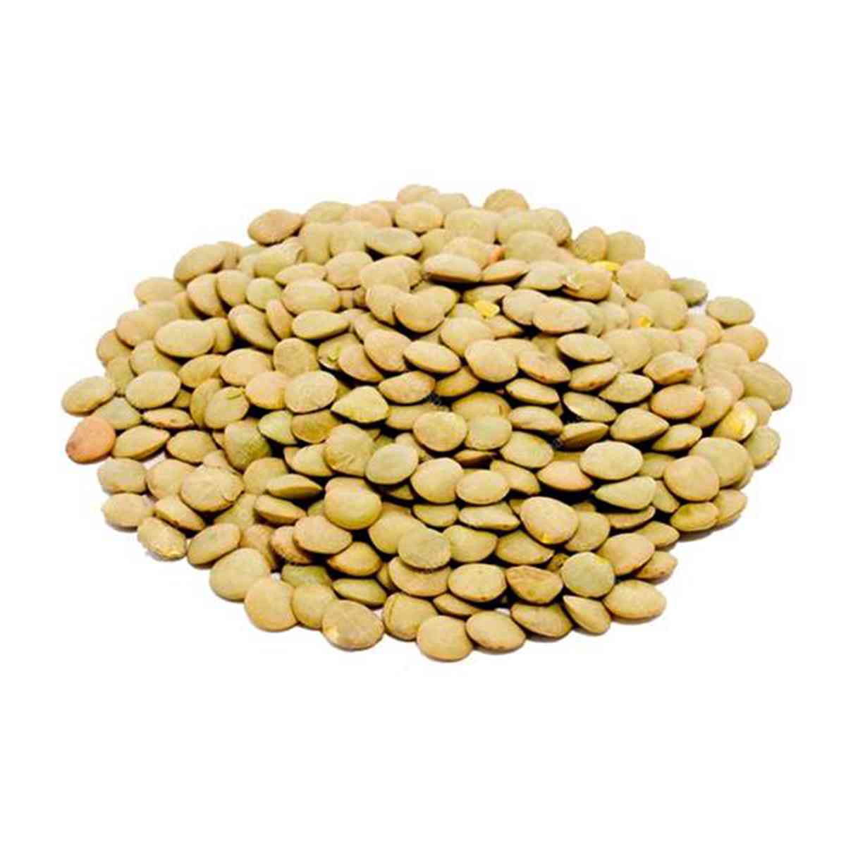 عدس درشت فله - 1 کیلوگرم