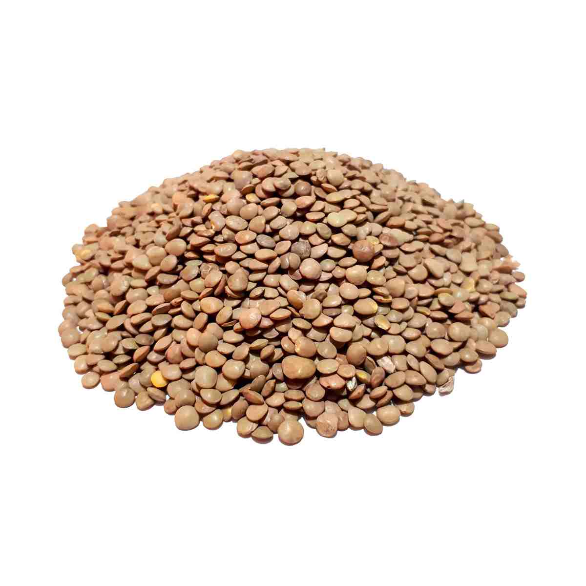 عدس ریز فله – ۱ کیلوگرم