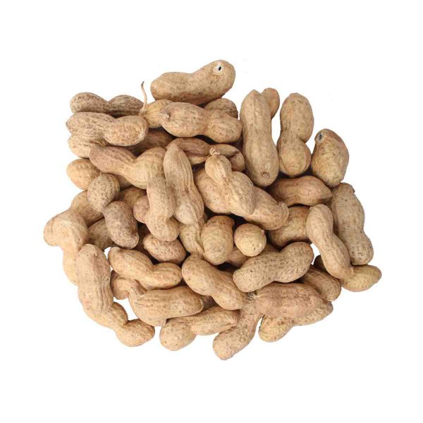 بادام زمینی تازه با پوست - 1 کیلو