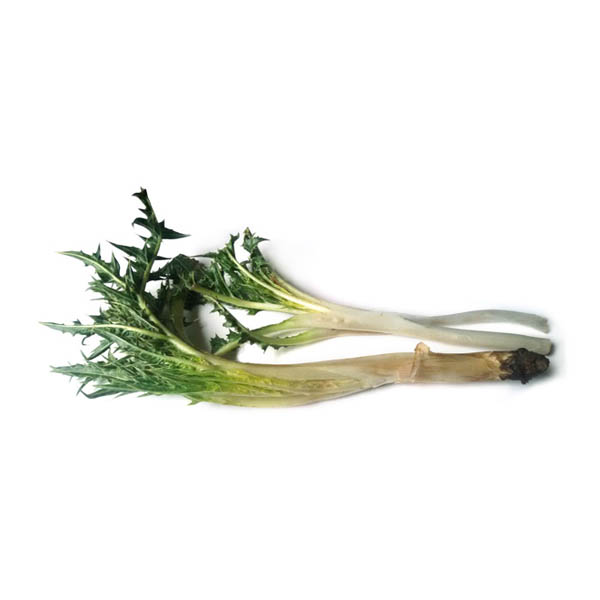 کنگر پخته شده - 1 بسته